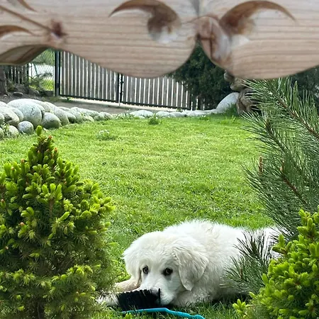 Arcychata Domek alpejski