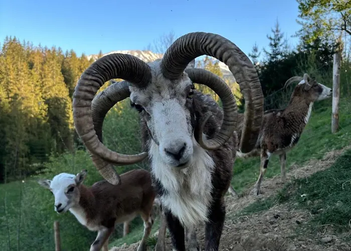 Arcychata Chalet Zakopane